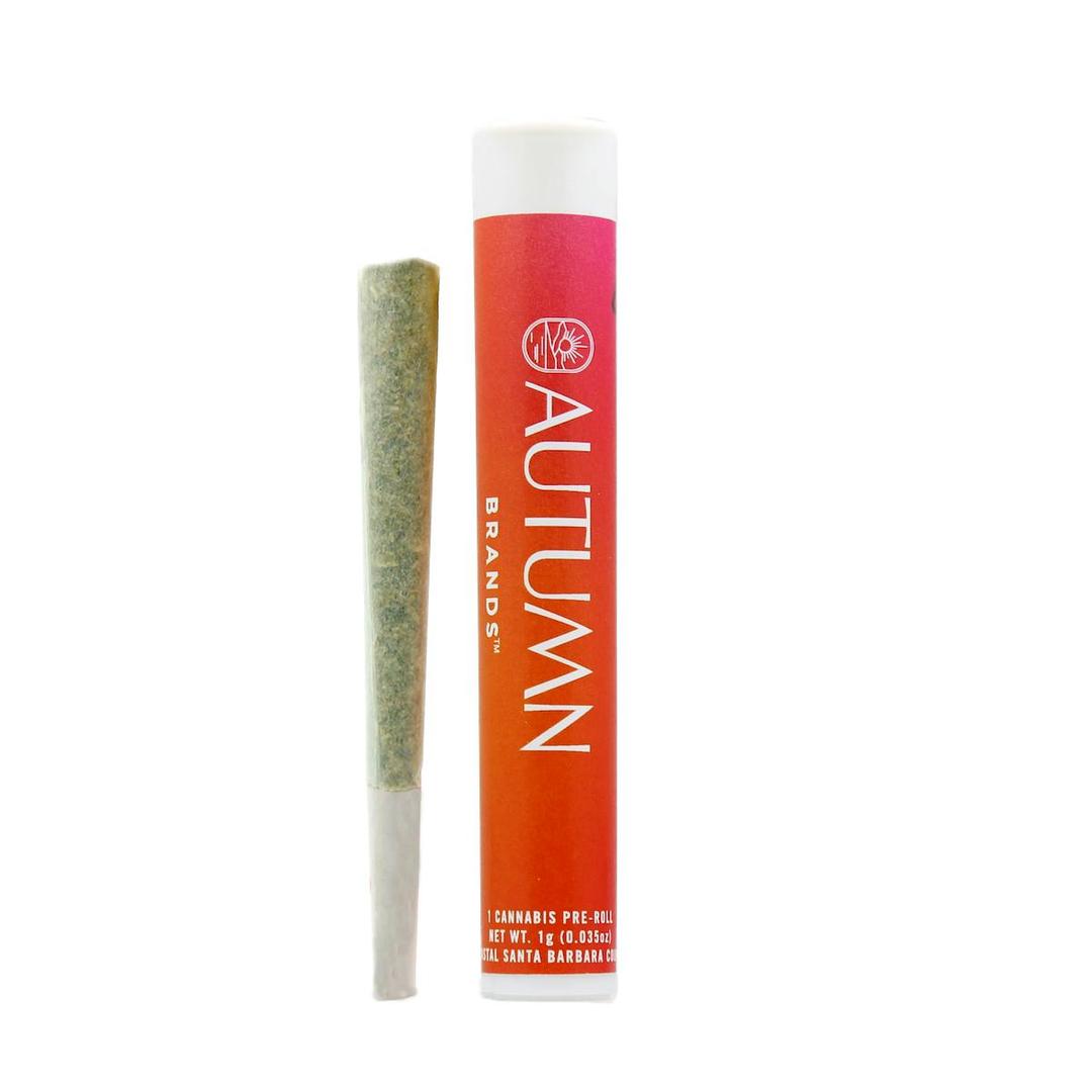 Sour Biscotti 1 gram Preroll