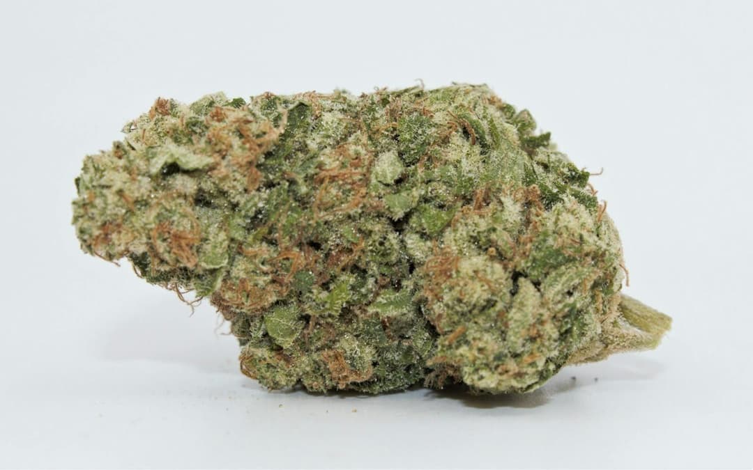 Calac Flower High Society 3.5g