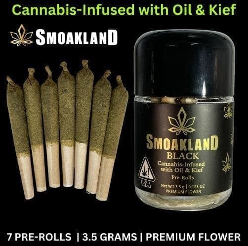BLACK - Infused Pre-Rolls - Alien Cookies (H) 7pk - 3.5g