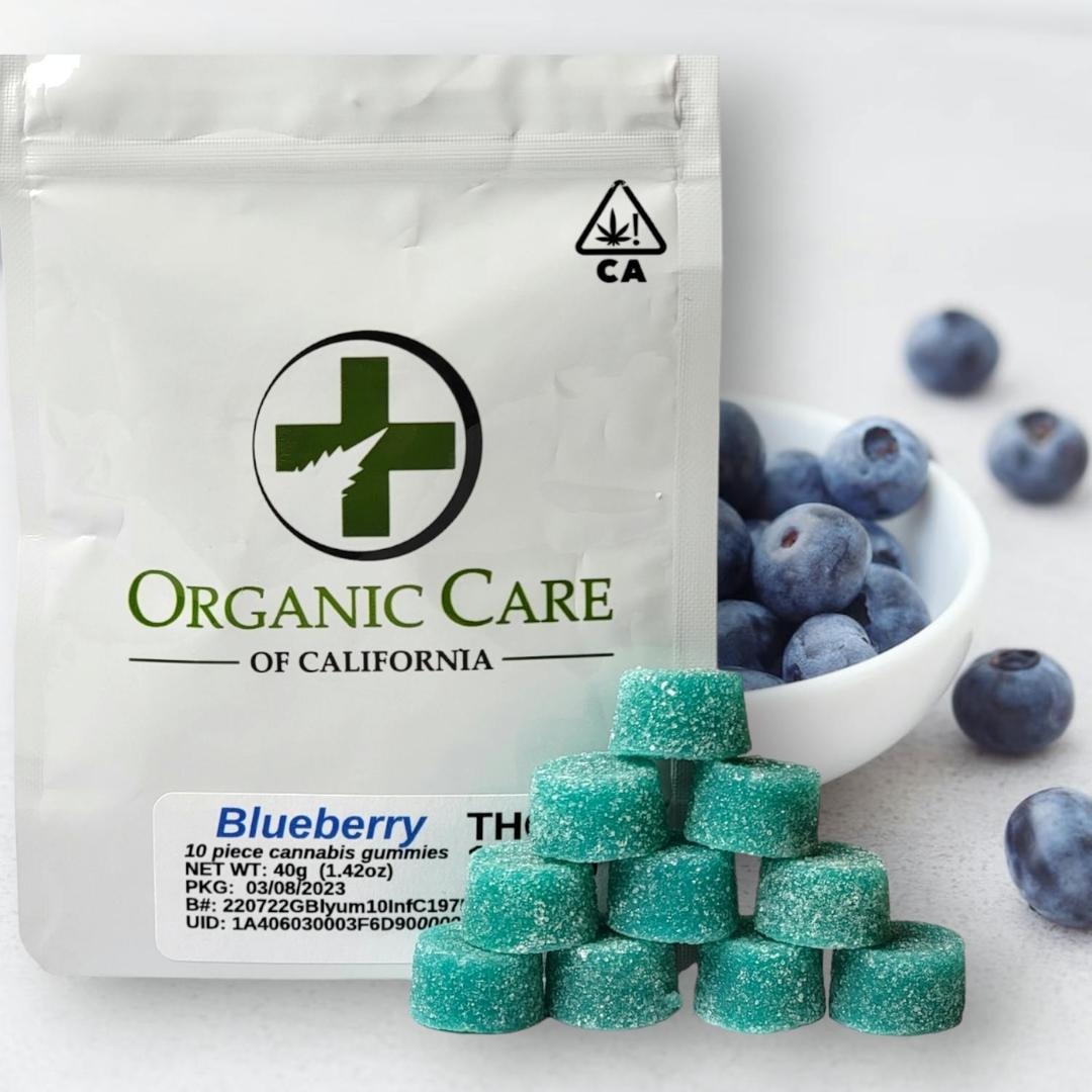 Blueberry Yum Yum (100mg) 10-Pack