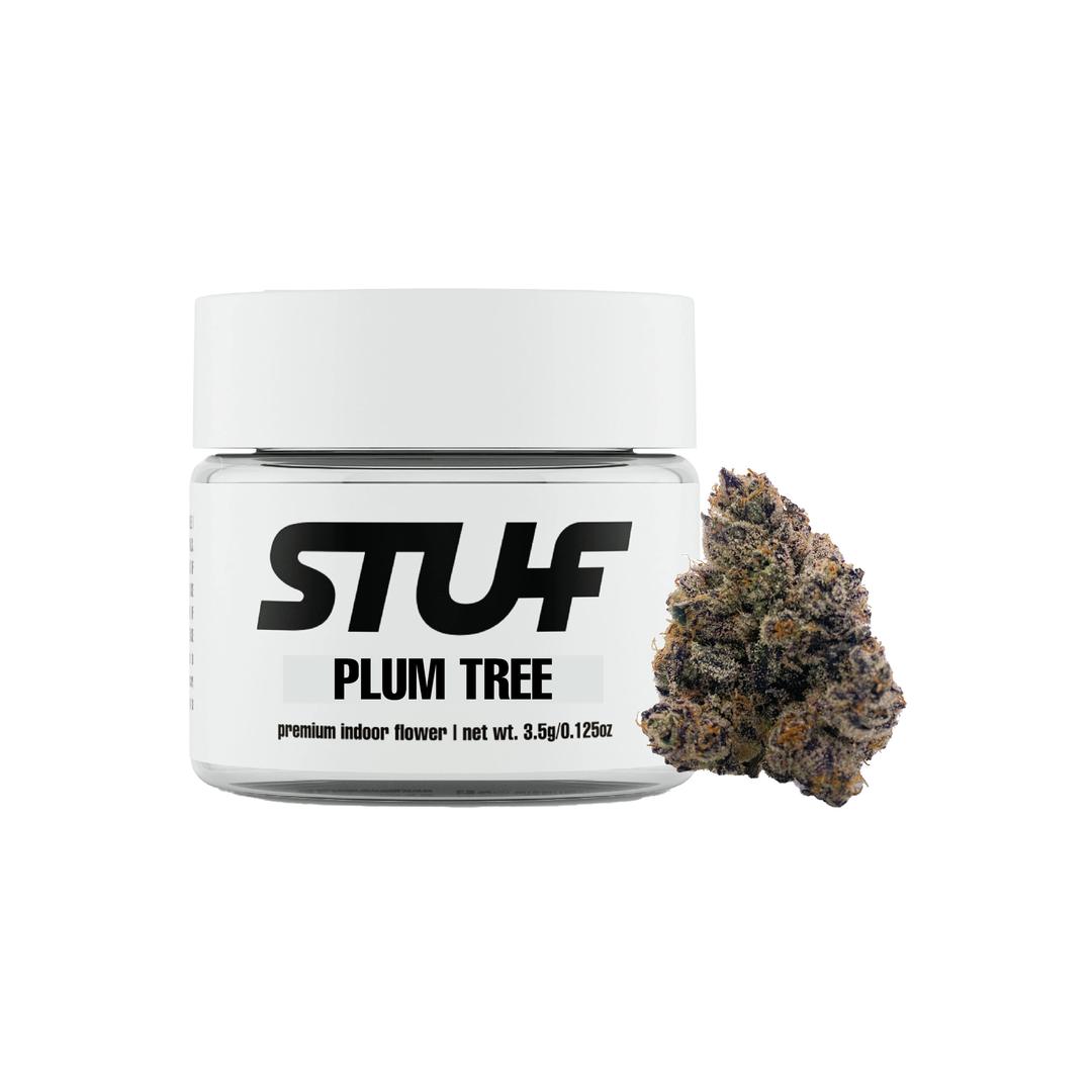 Plum Tree