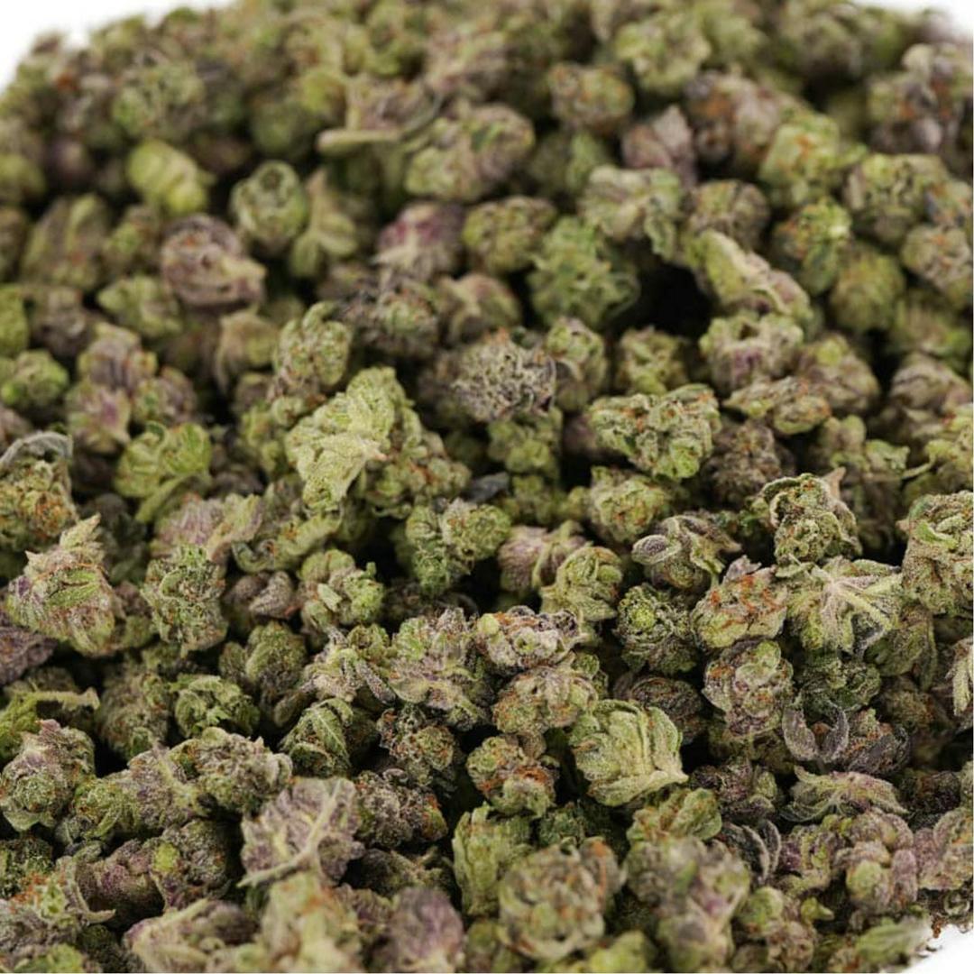 3.5g Purple Geezer - Indoor Smalls