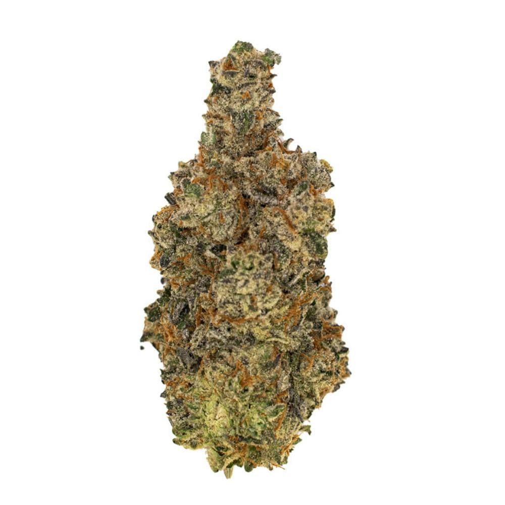 Maltese Orange