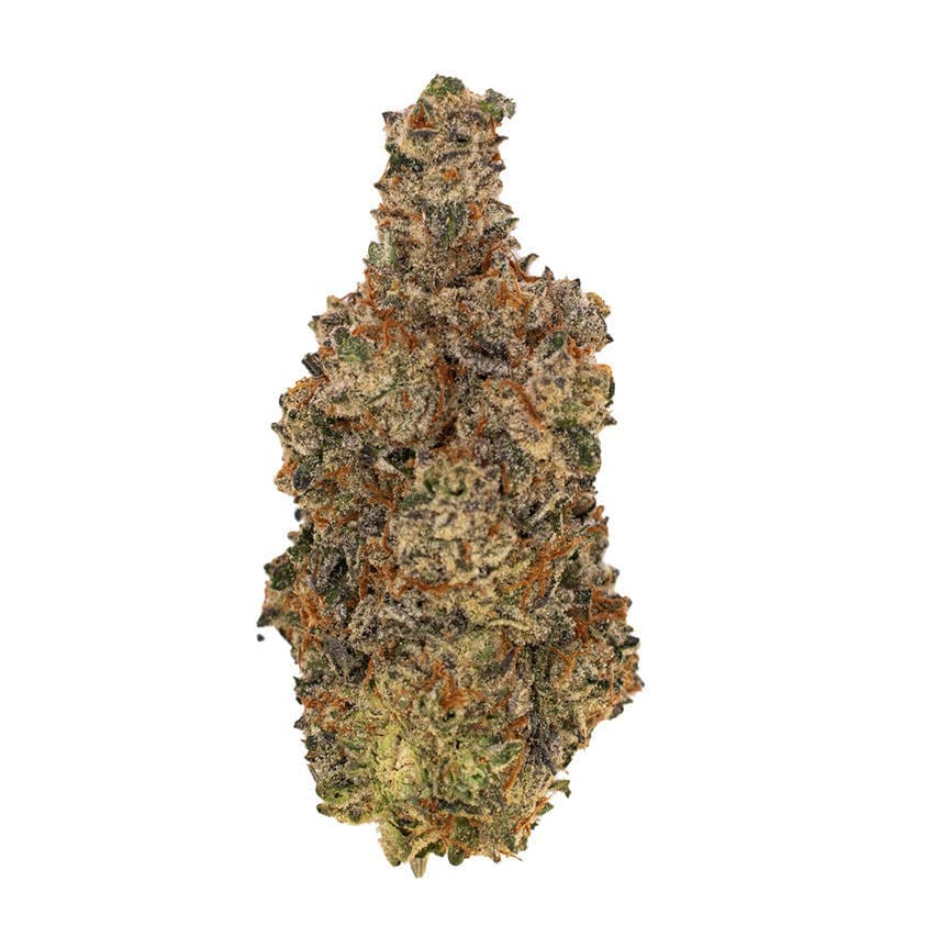 Citrus Sunrise (Lemon Sportiff)
