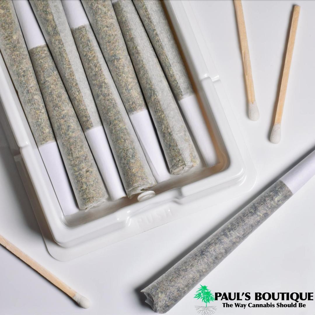 Preroll 7 Pack "Marmalade"