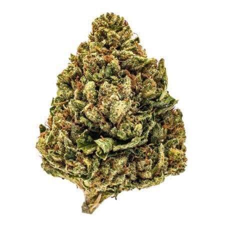 Bubble Gum