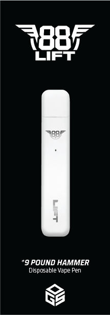 88 Lift 9 Pound Hammer All-In-One Disposable