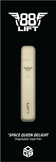 88 Lift Space Queen Delight All-In-One Disposable