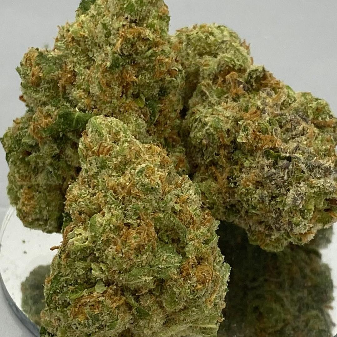 Citrus Palisades *GOLD TIER*