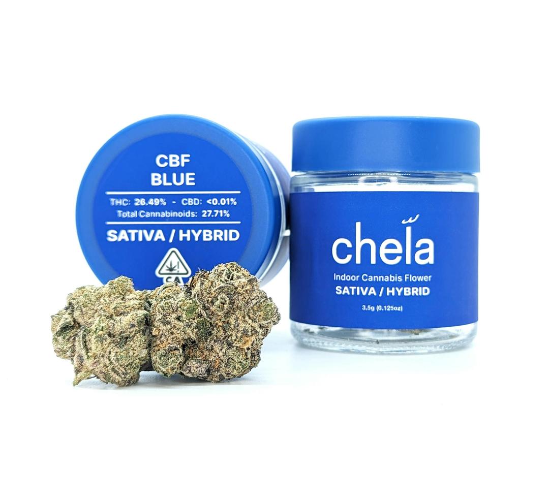 Chela - Indoor - CBF Blue