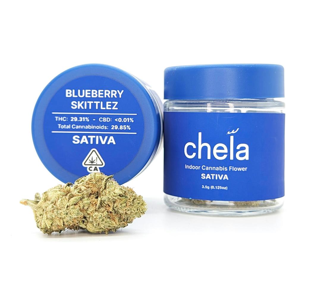 Chela - Indoor - Blueberry Skittlez