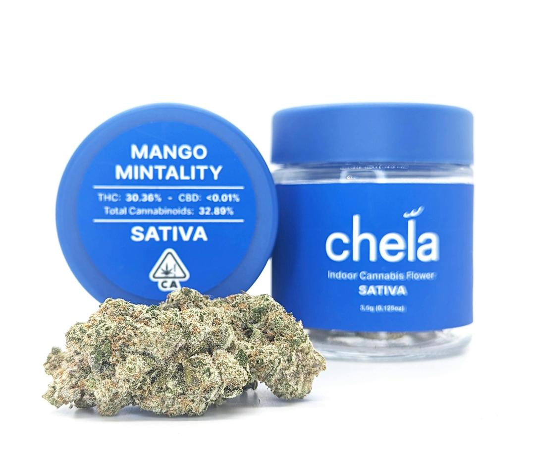 Chela - Indoor - Mango Mintality
