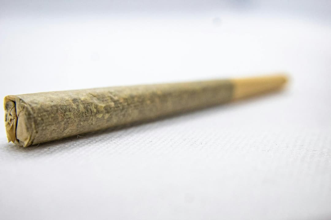 Apple Cookies 1g Pre-Roll
