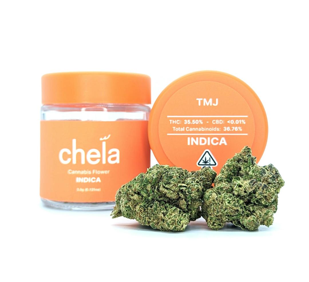Chela - Light - TMJ