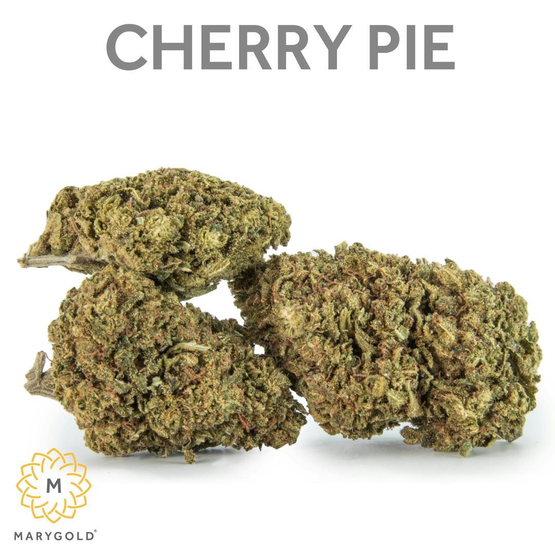 Cherry Pie 14g (Hybrid 23% THC)