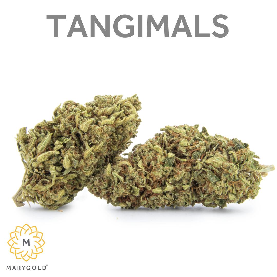 Tangimals 3.5g (Sativa 22% THC)