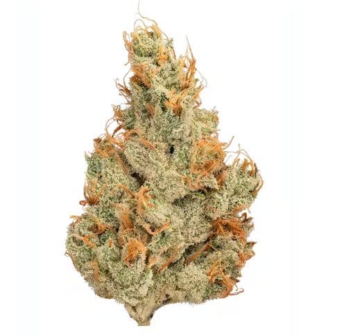 Guava Tangie 1g