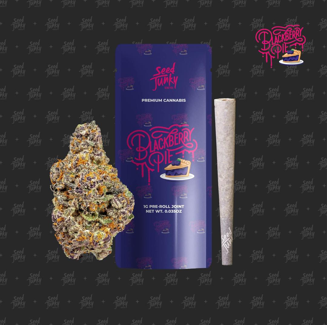 BLACKBERRY PIE (1G Pre-Roll)