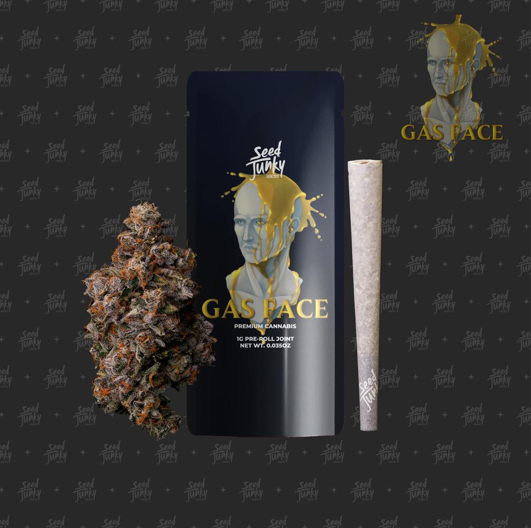 GAS FACE (1G Pre-Roll)