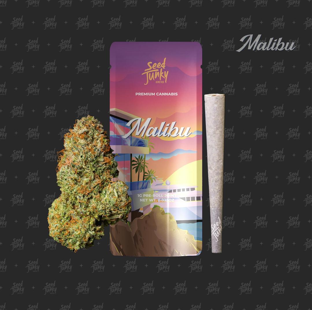 MALIBU (1G Pre-Roll)