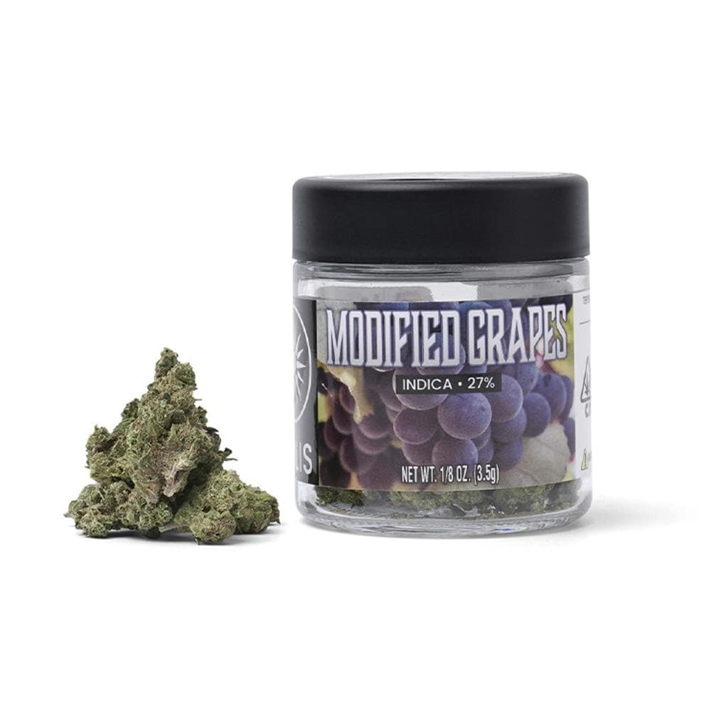 Modified Grapes | Jarred Flower (3.5g) | Indica