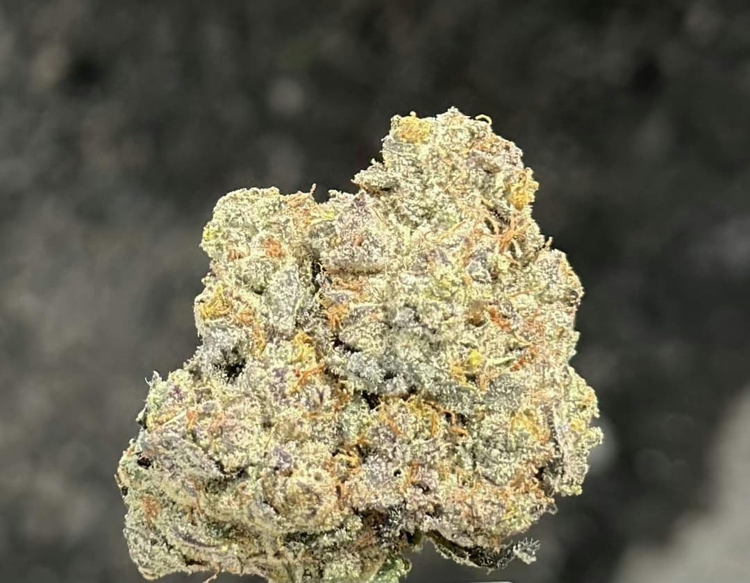 Oil Tanker OG - 5 Grams