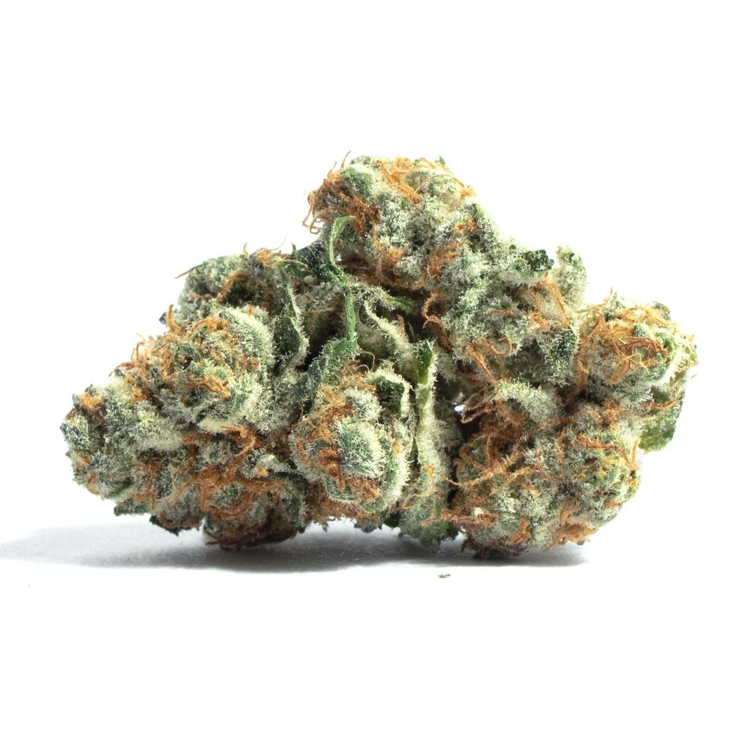Super Glue - 5 Grams