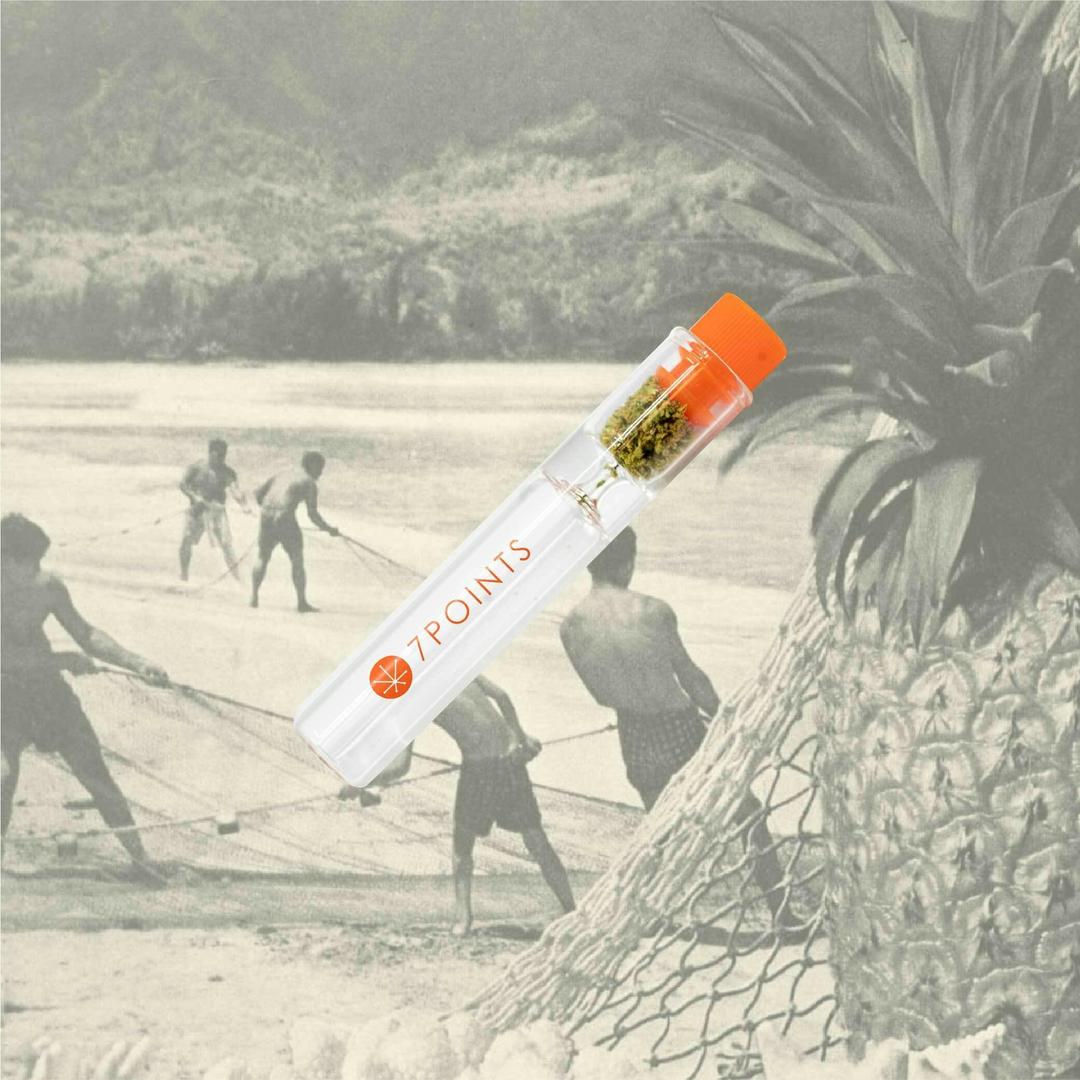 Pineapple MAC - .3g CHILLUM