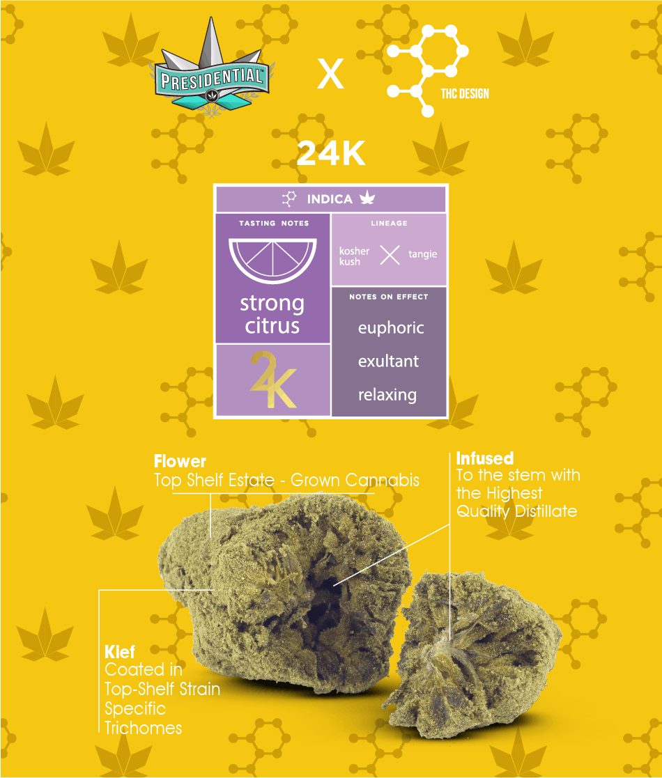 Presidential Moon Rocks - 24K (1g & 3.5g)