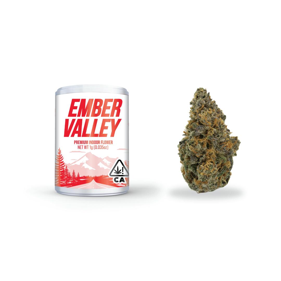 Berry Jane 1G Pop Tube