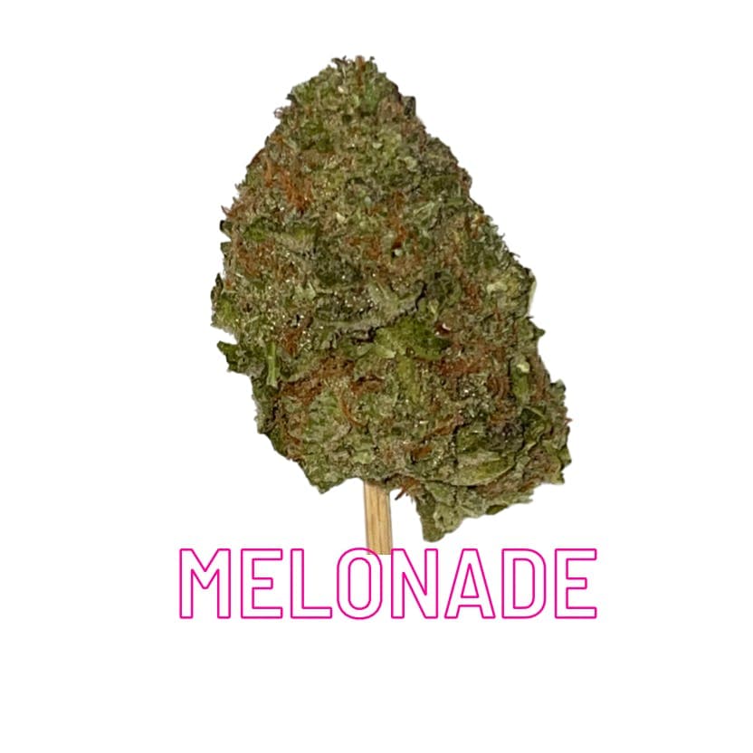MELONADE Flower