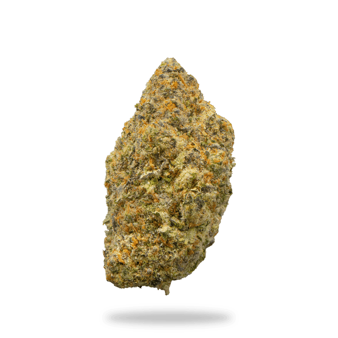 Jelly Pop