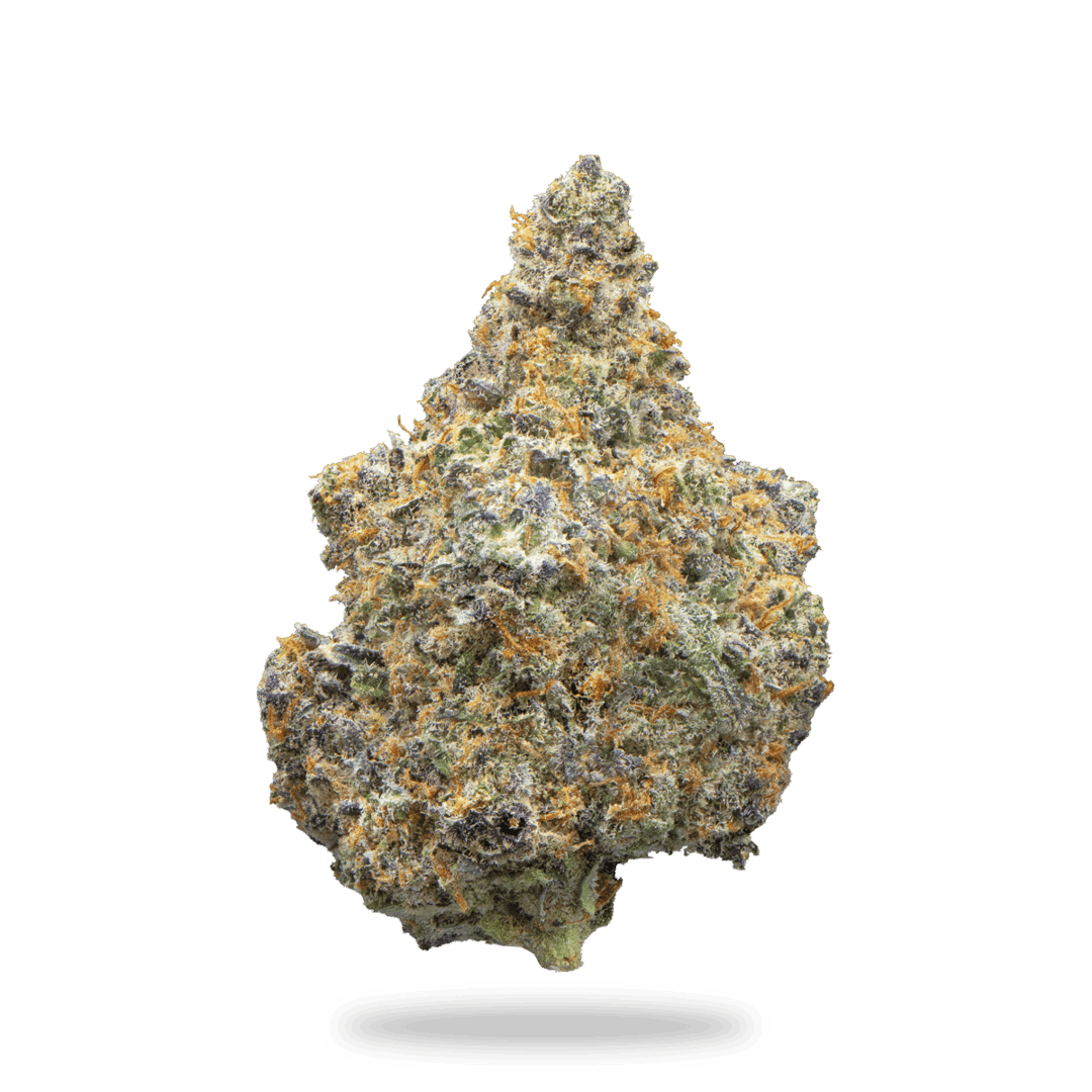 Midnight Cherry