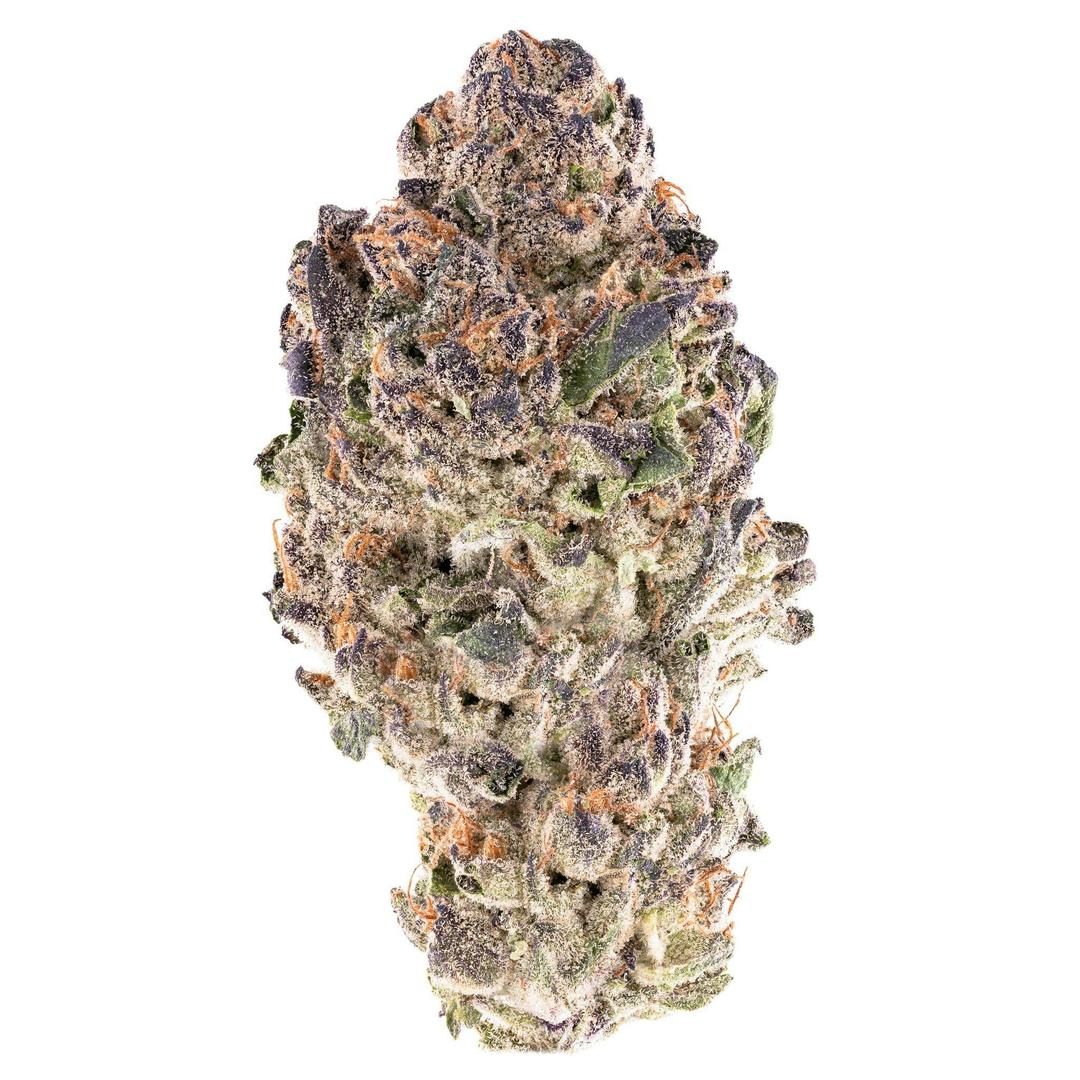 Lemon Cherry Gelato