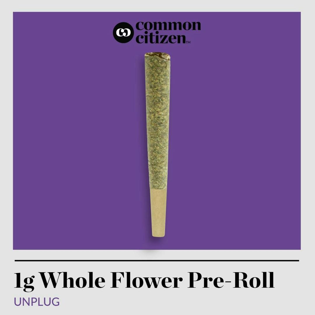 Common Citizen GMO Jungle Cake Pre Roll 1g