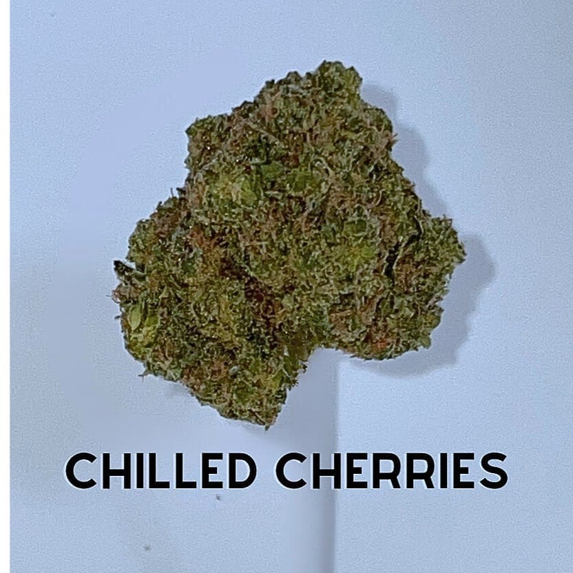 Chill Cherries flower