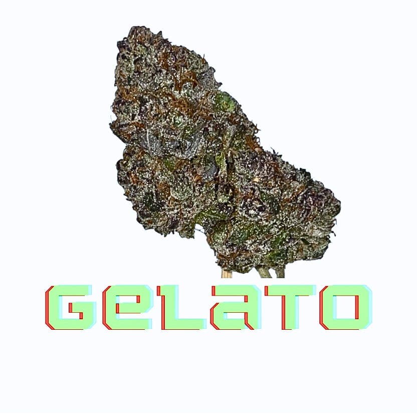 Gelato 2