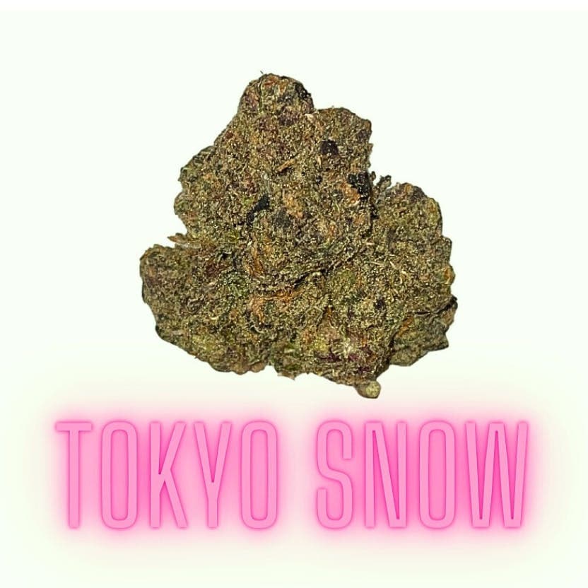 Tokyo Snow flower