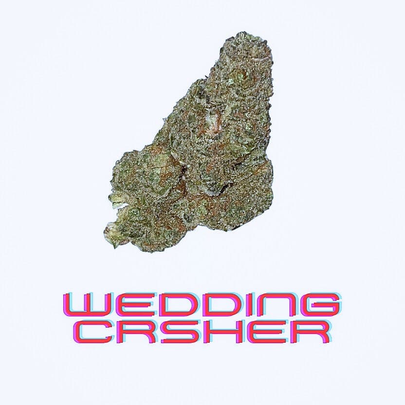 Wedding Crasher