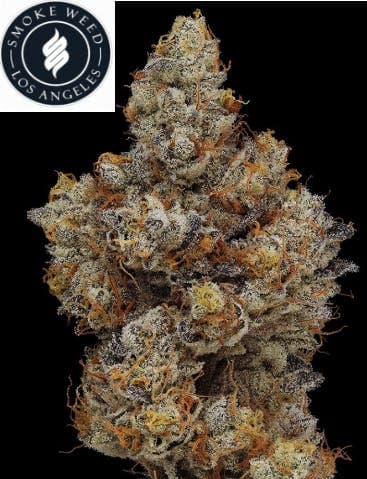 Smoke Weed LA - Falcon 9 14g