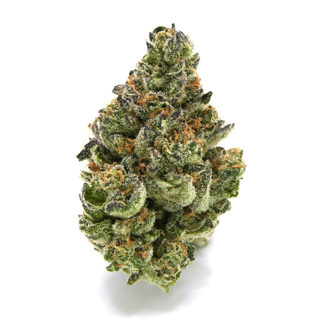 Peace On Earth Buds