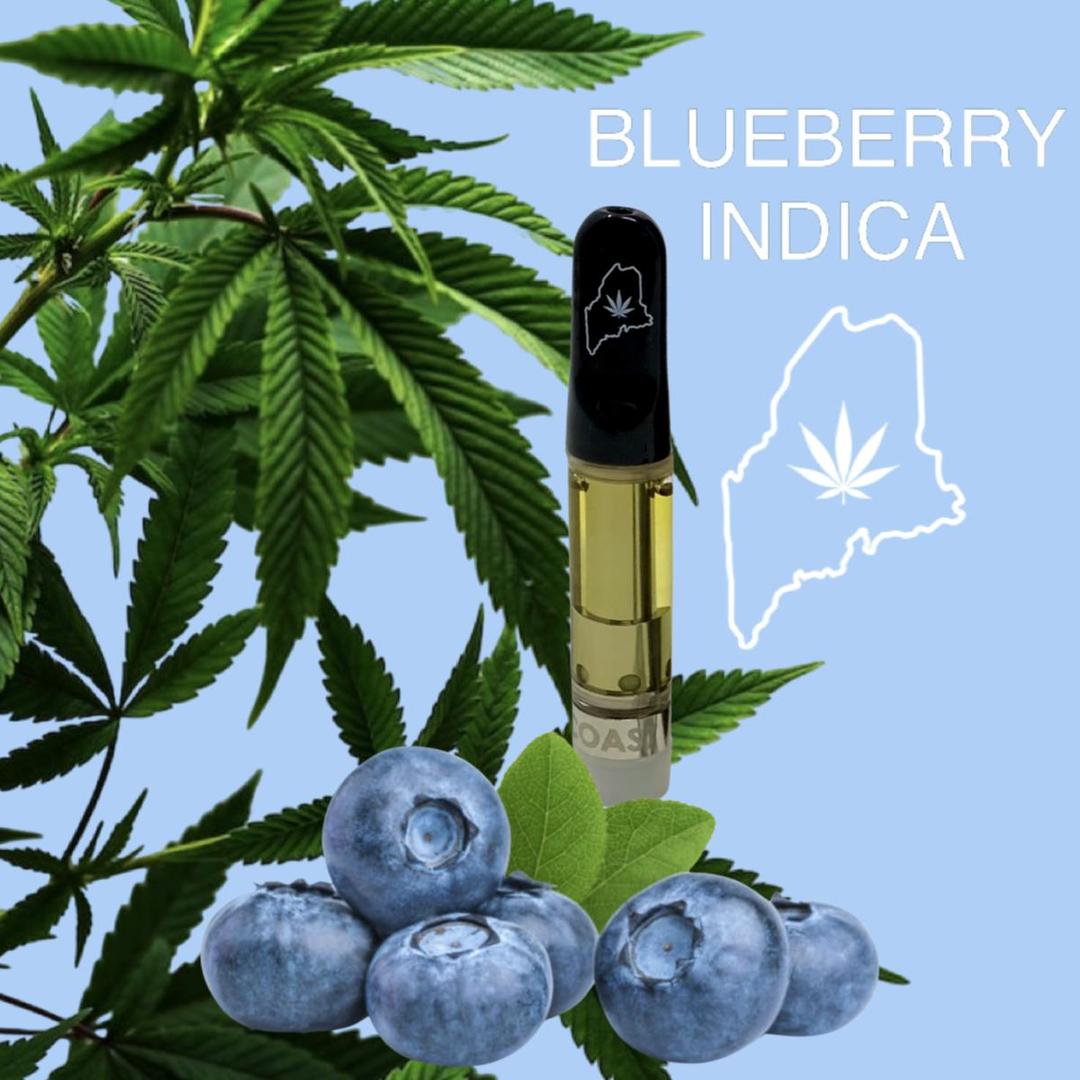 High Coast 1G THC Cartridge - Blueberry (Indica)