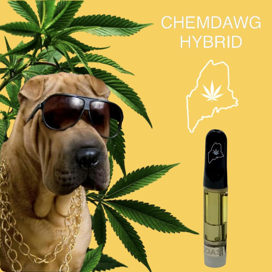 High Coast 1G THC Cartridge - Chemdawg (Hybrid)