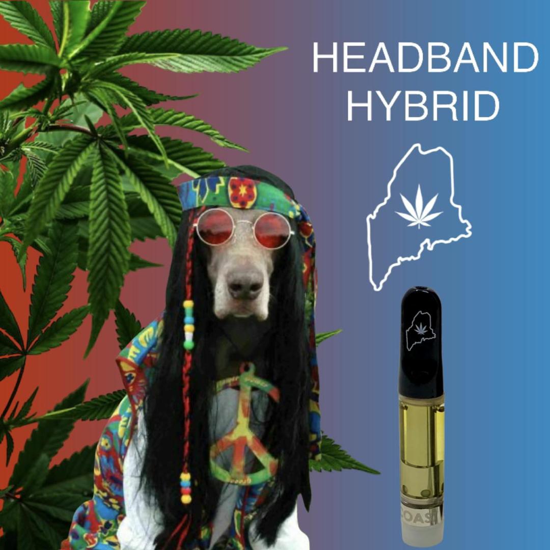 High Coast 1G THC Cartridge - Headband (Hybrid)