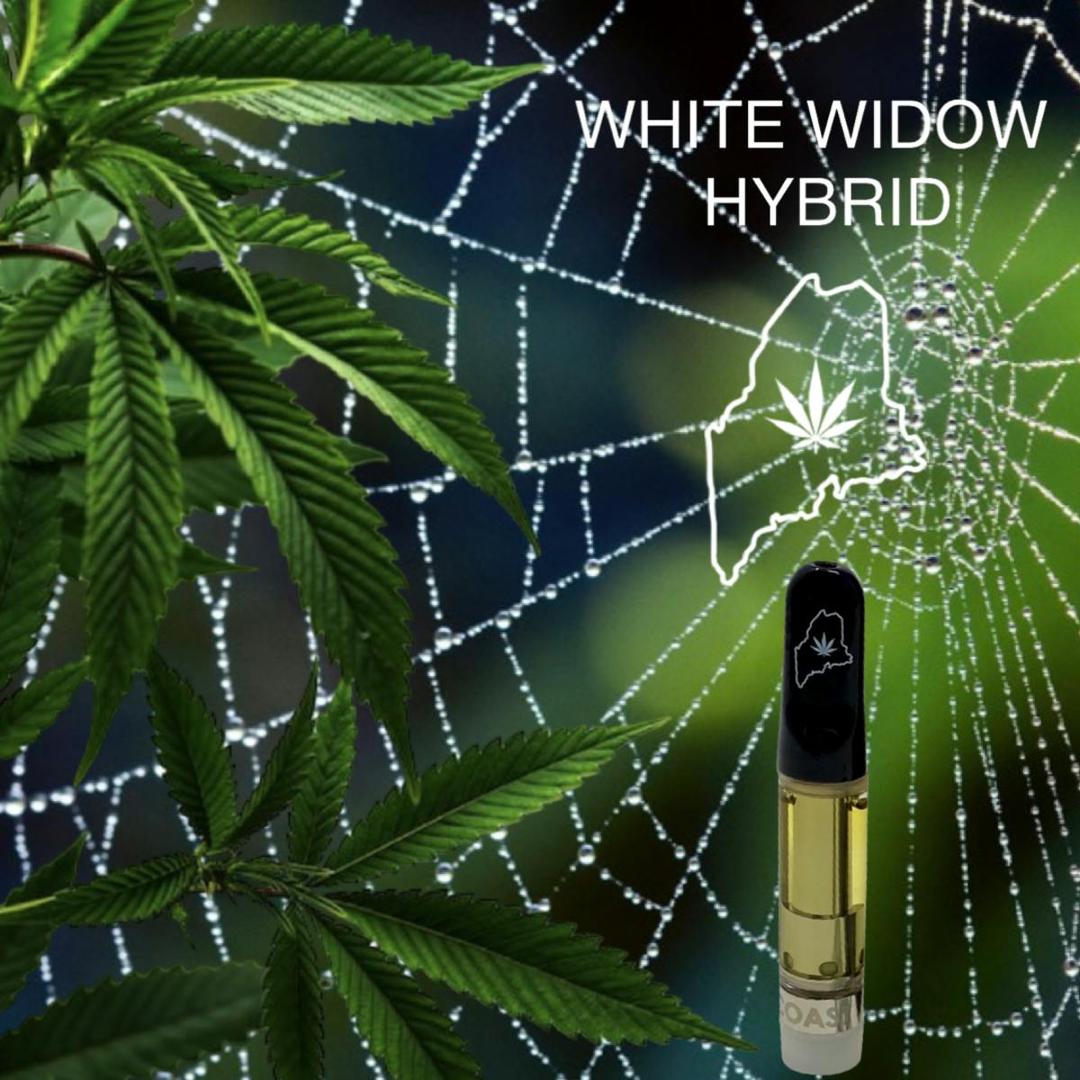 High Coast 1G THC Cartridge - White Widow (Indica)