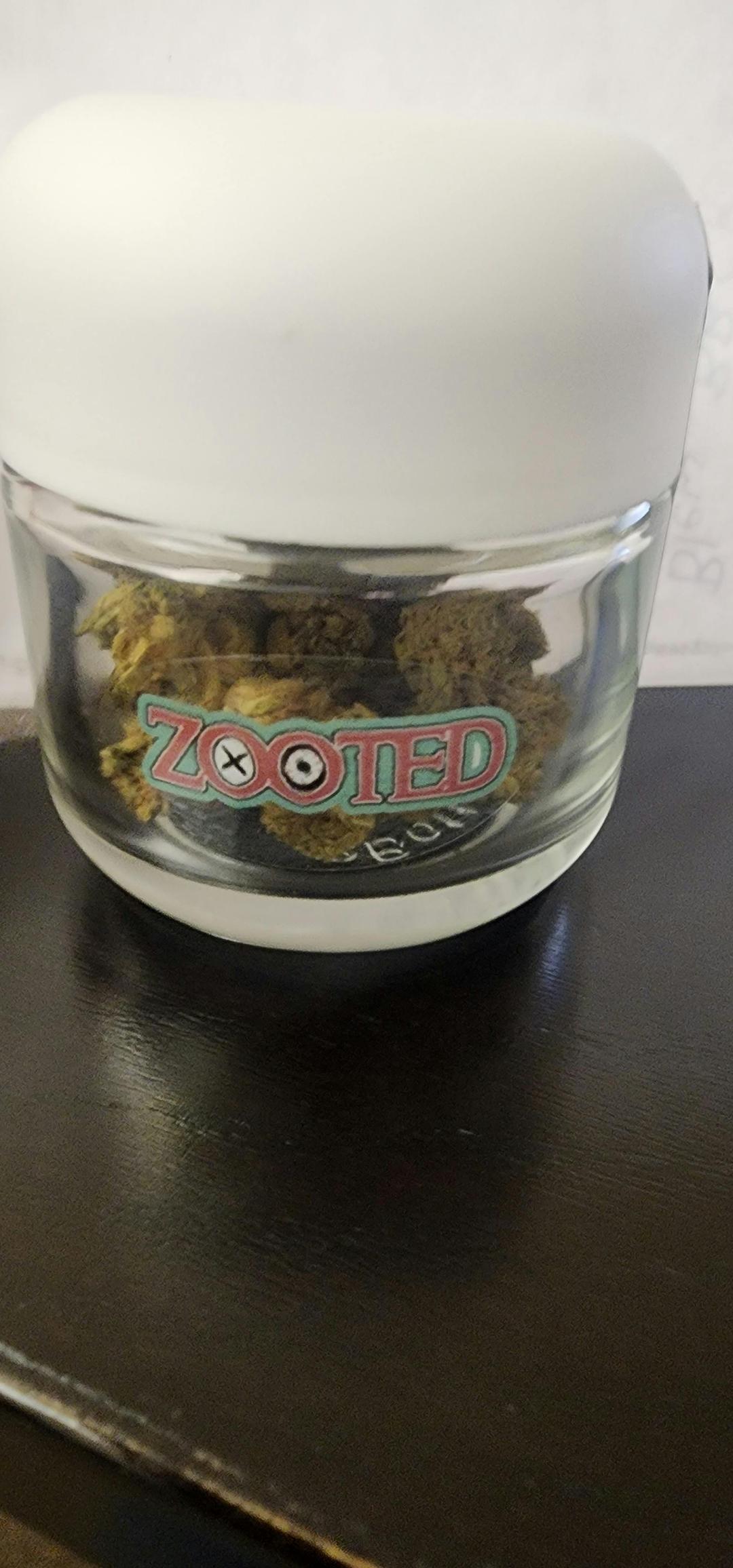 Zooted Angel