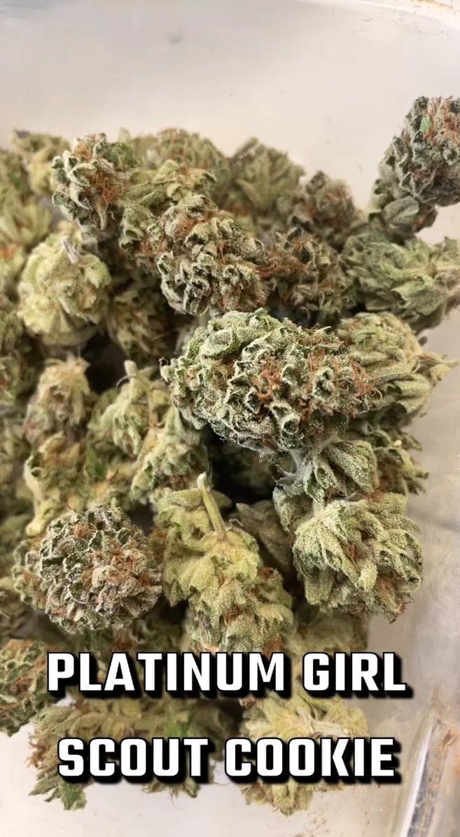 Platinum Girl Scout Cookies