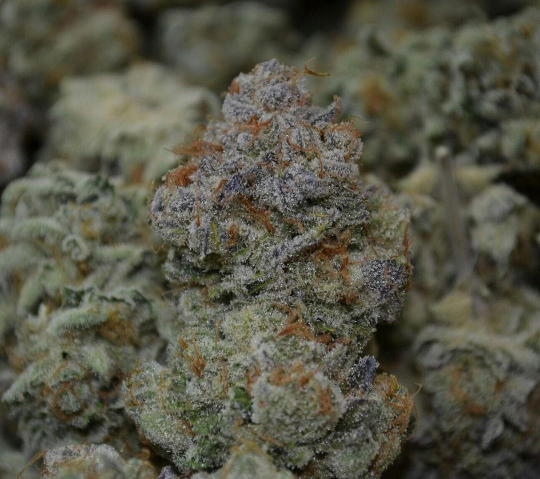 Organic Sour Banana Sherbert
