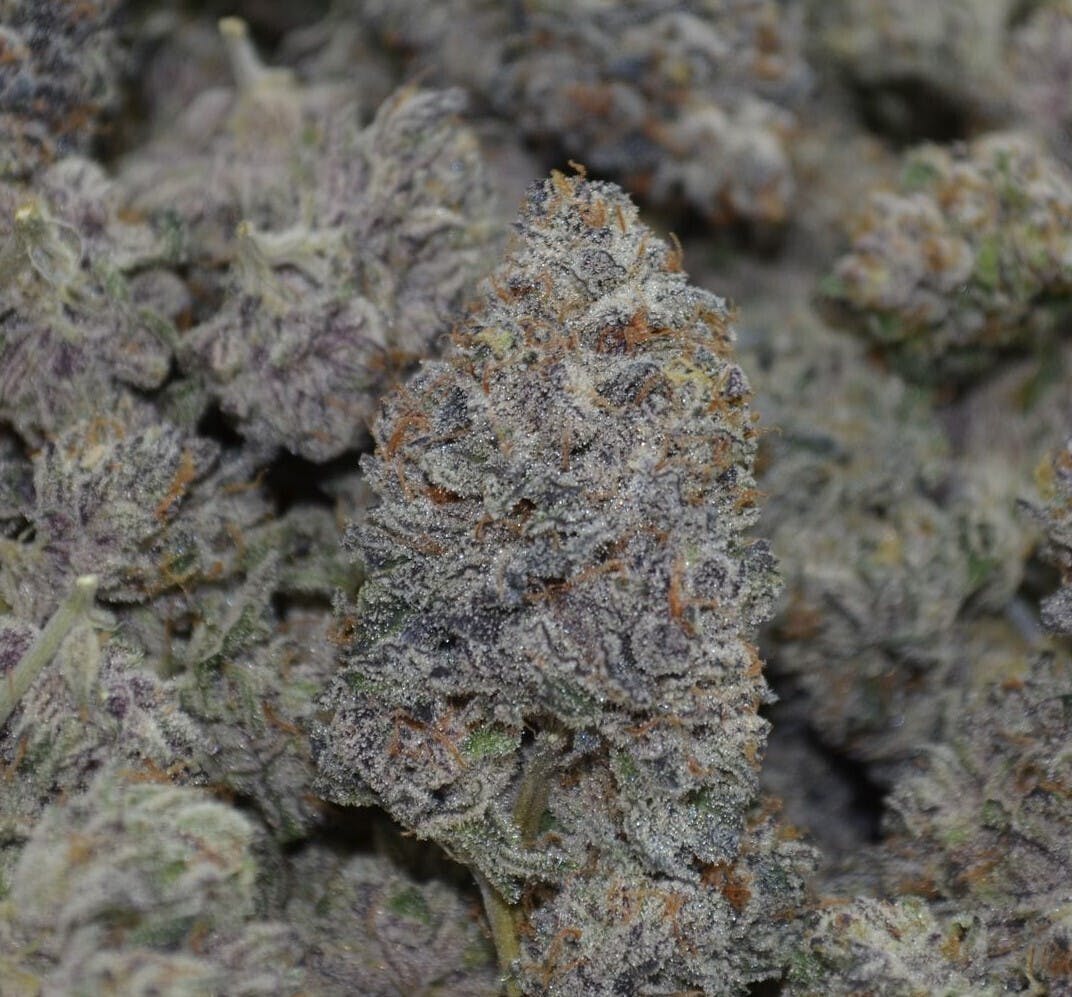 Organic Too Cool