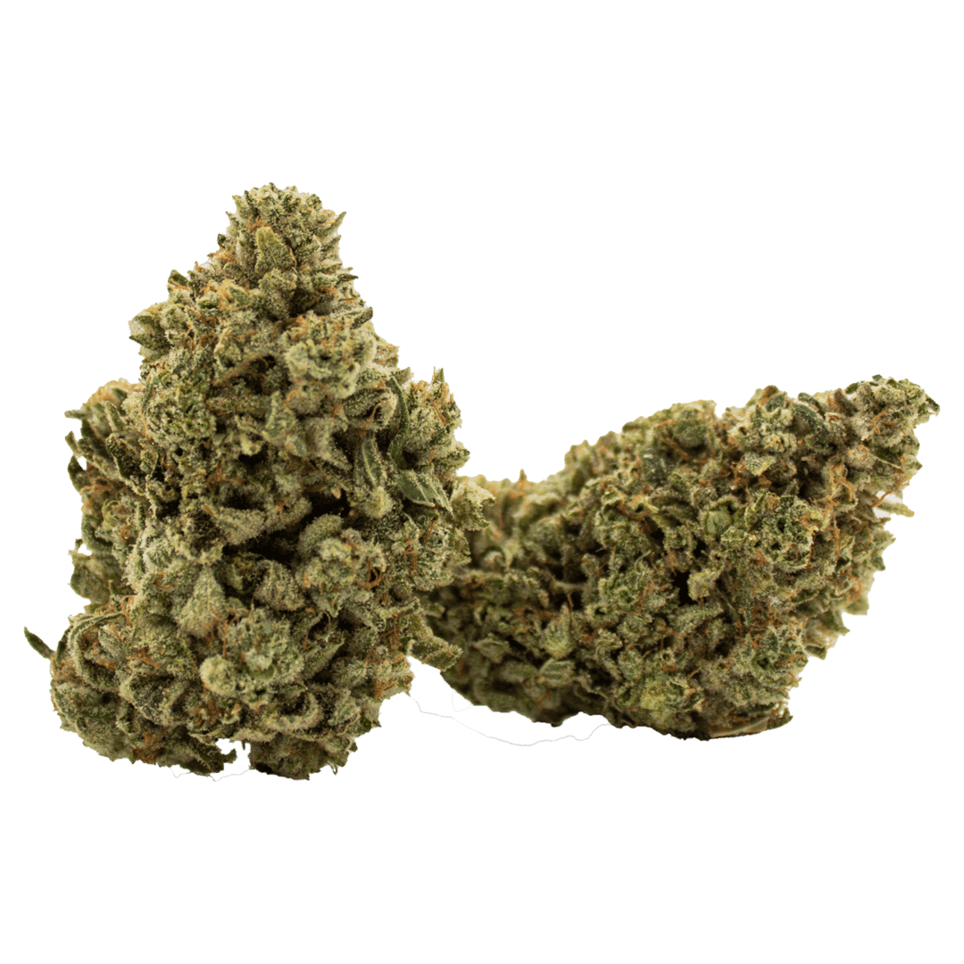 Godzilla Glue